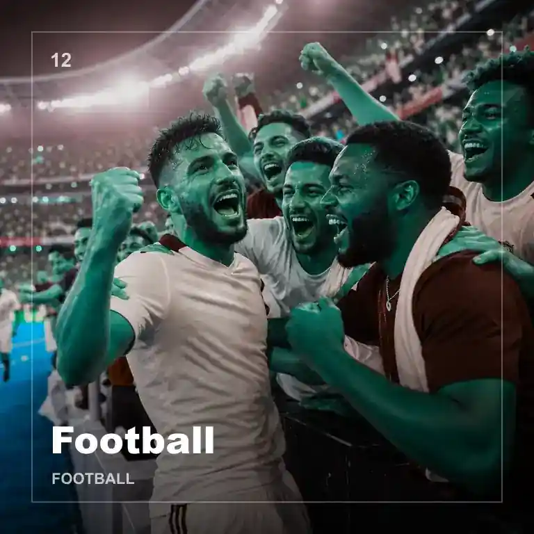 FIFA足球比赛